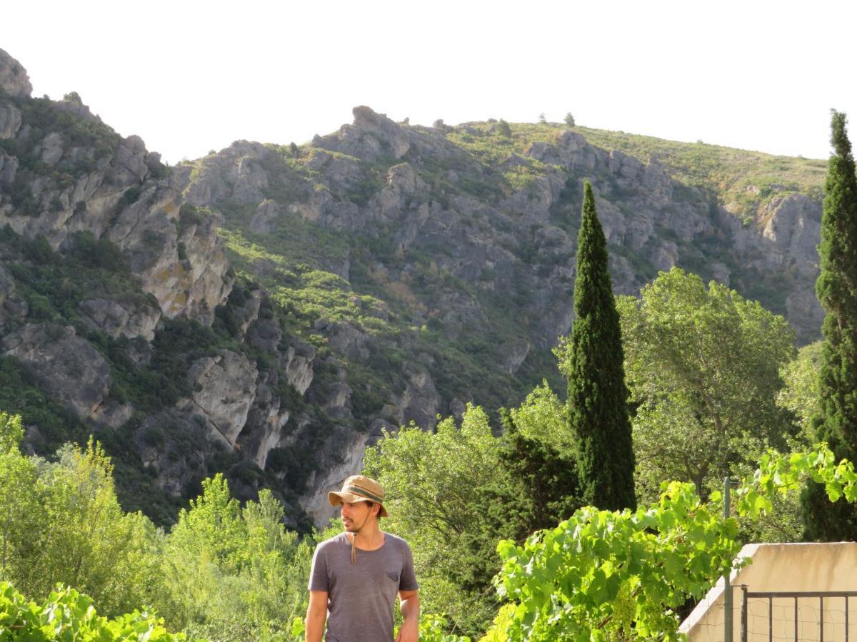 Villa Ripaud, Private River Swimming, Hot Tub Villeseque-des-Corbieres المظهر الخارجي الصورة